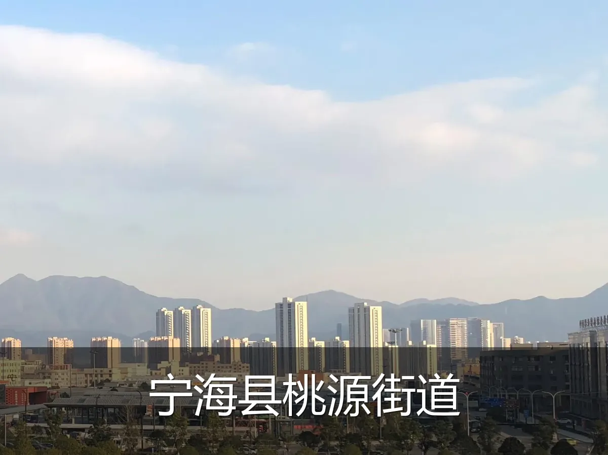 宁海县桃源街道