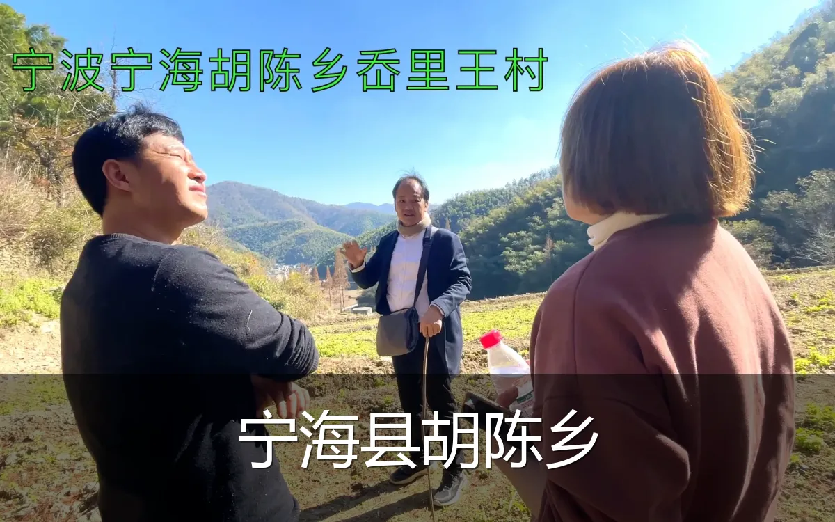 宁海县胡陈乡